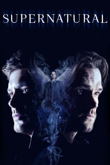 Saison 14