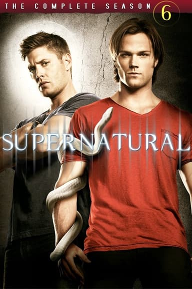 Saison 6